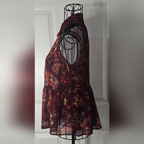 Nearly Sheer Sleeveless Blouse - Picture 4 of 5